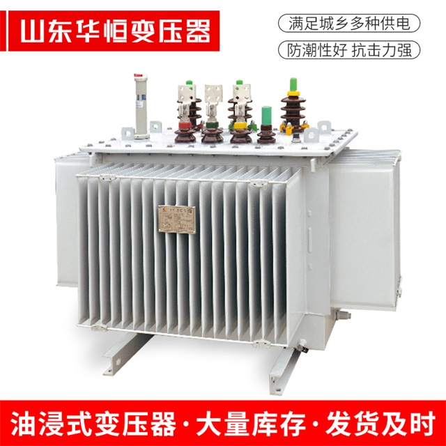 S13-10000/35潮安潮安潮安电力变压器